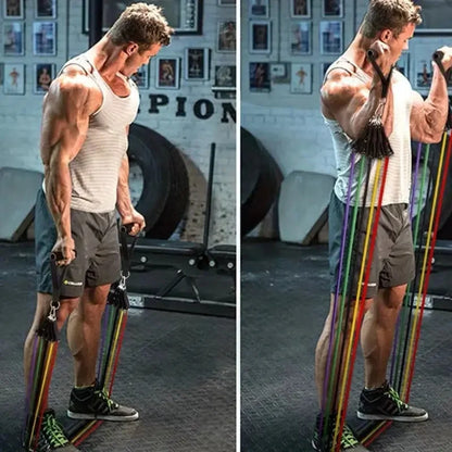 Resistance Bands Set