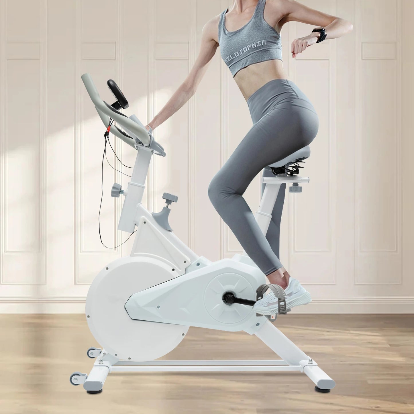Silent Indoor Fitness Bike