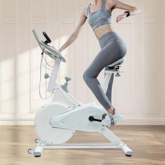 Silent Indoor Fitness Bike