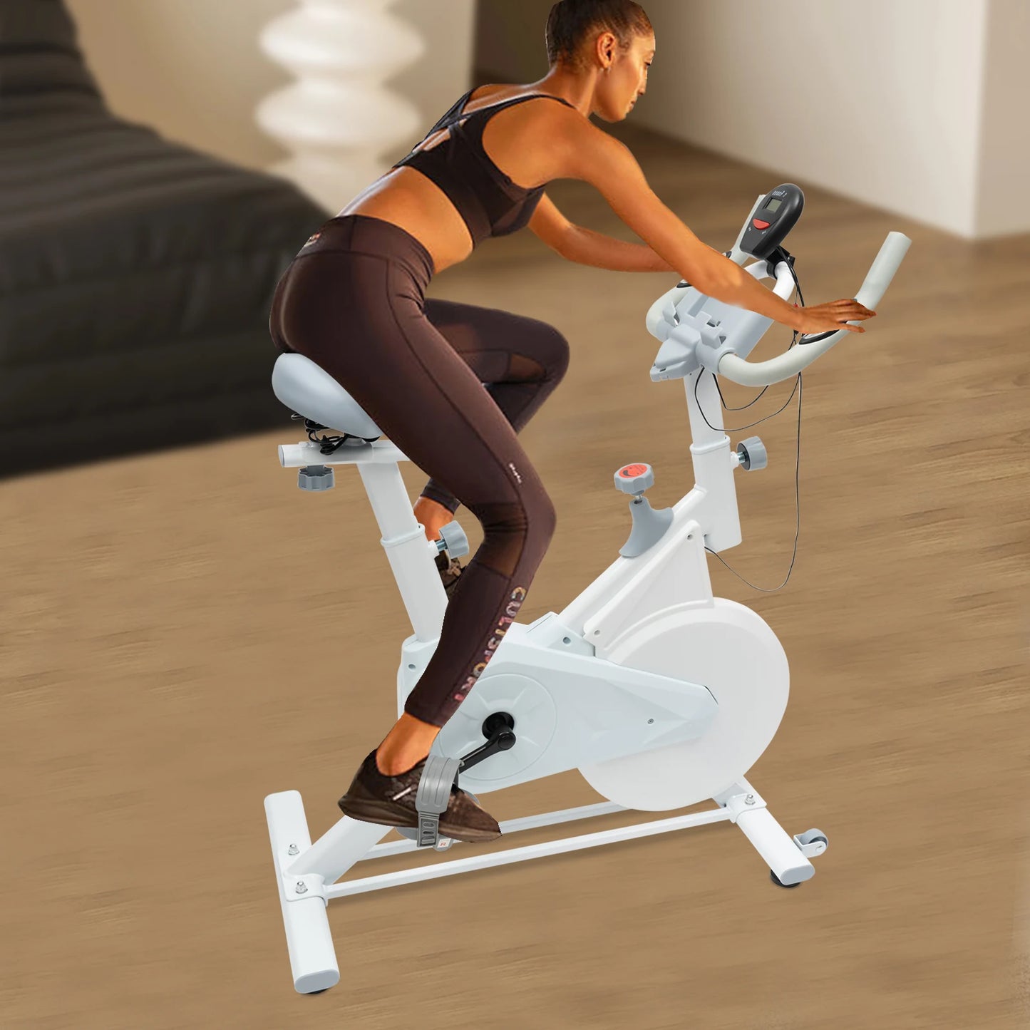 Silent Indoor Fitness Bike